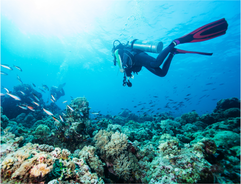 loreto mexico ocean tours