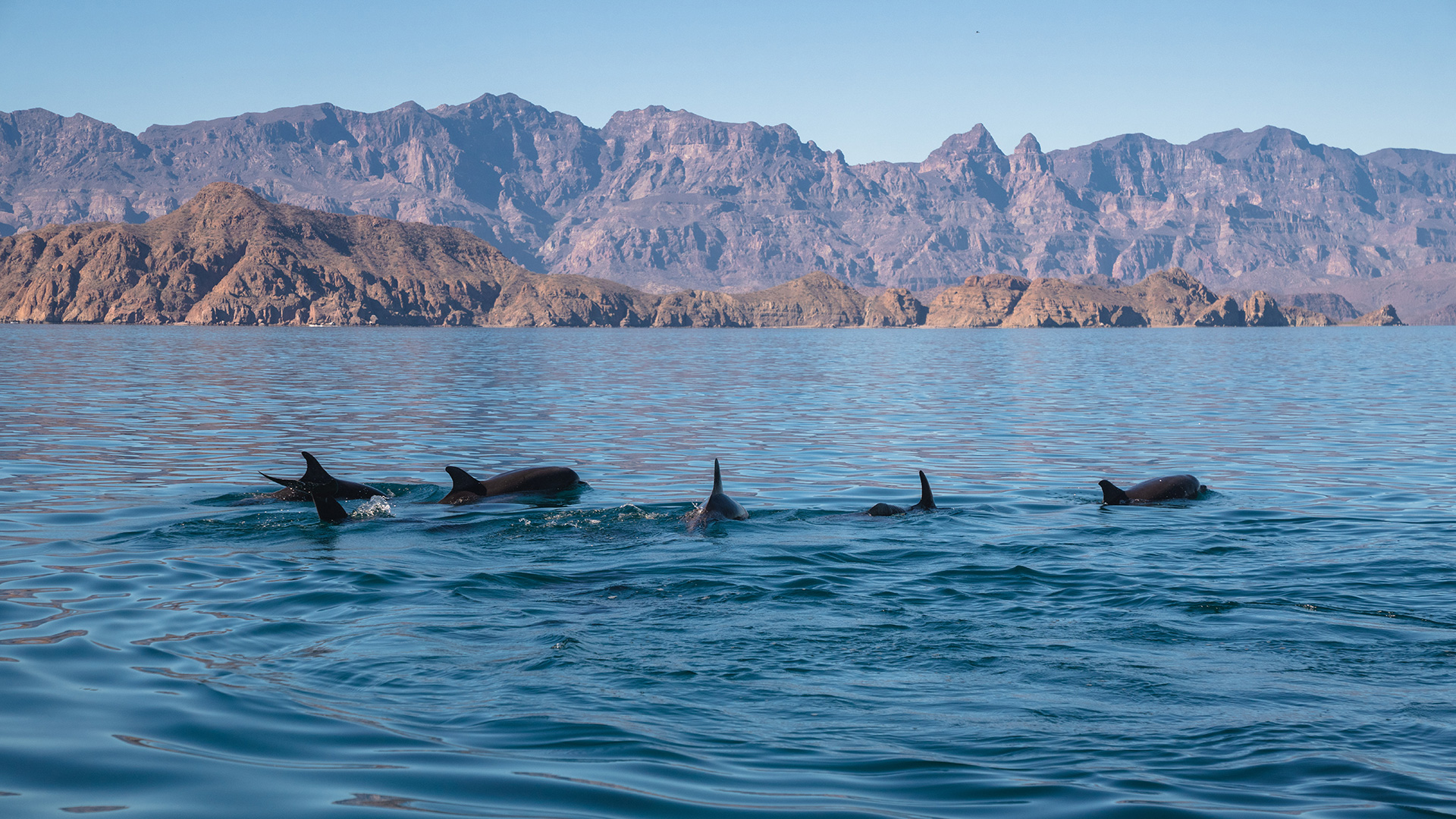 FAQs in Villa del Palmar at The Islands of Loreto